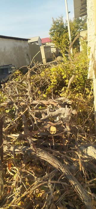 Tez va arzon sotiladi