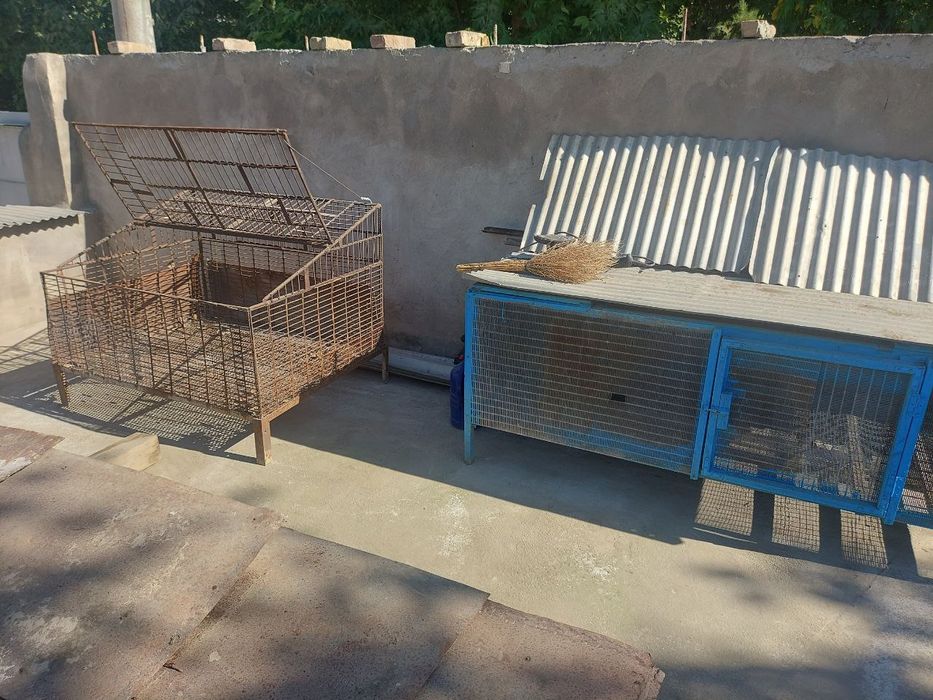 Клетки для крылатых