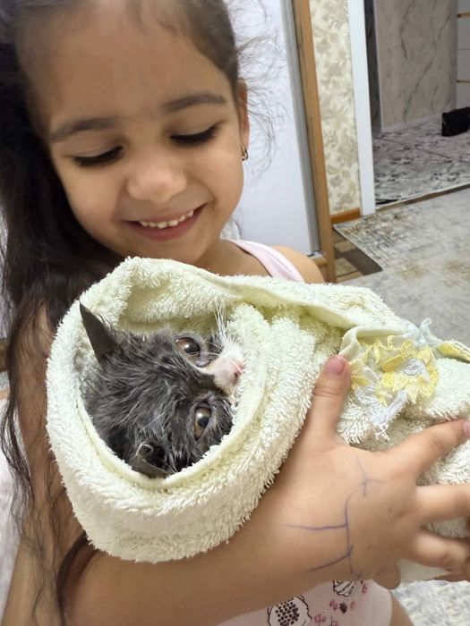 кошка очен сладко кошка