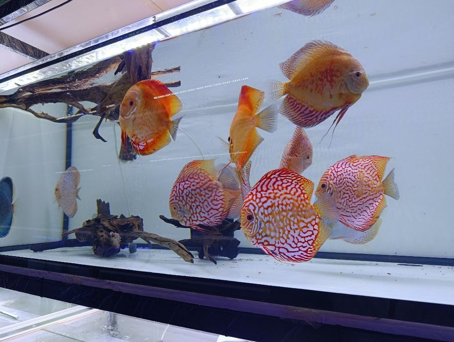 обслуживание аквариума