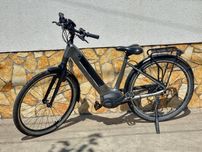 Gazelle ultimate c8+