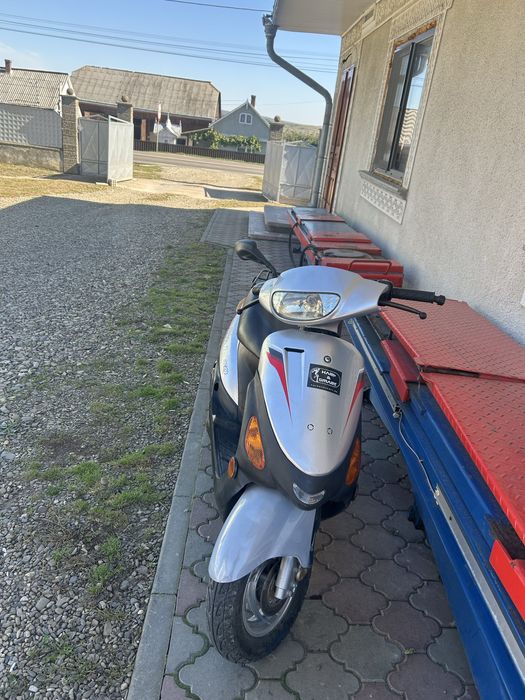 Vand scutet gy6 80cc 4t