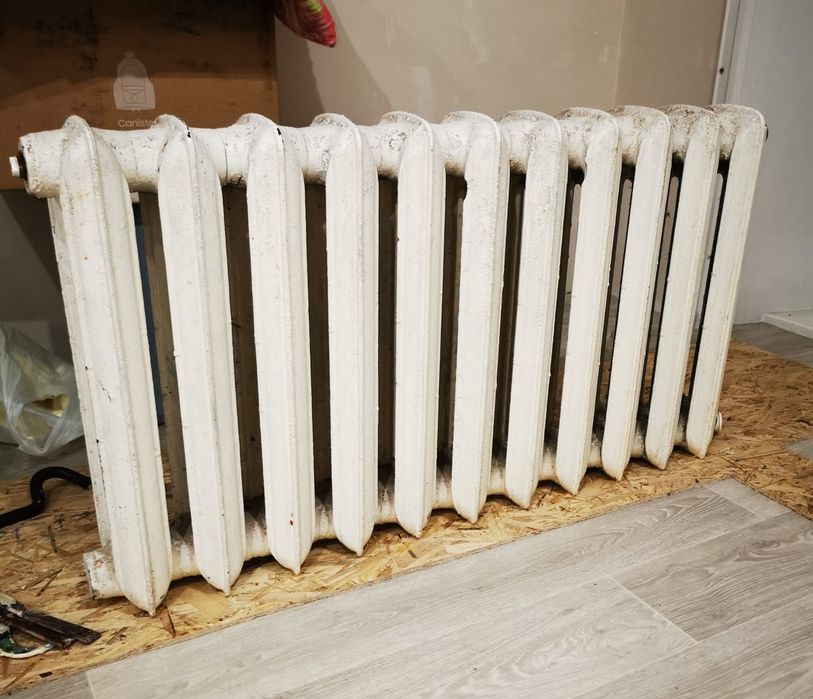 Ботареи чугунная