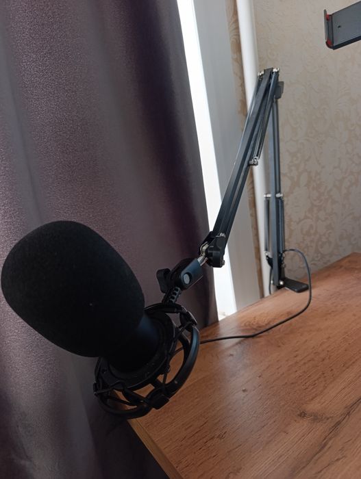 Микрофон и пантограф