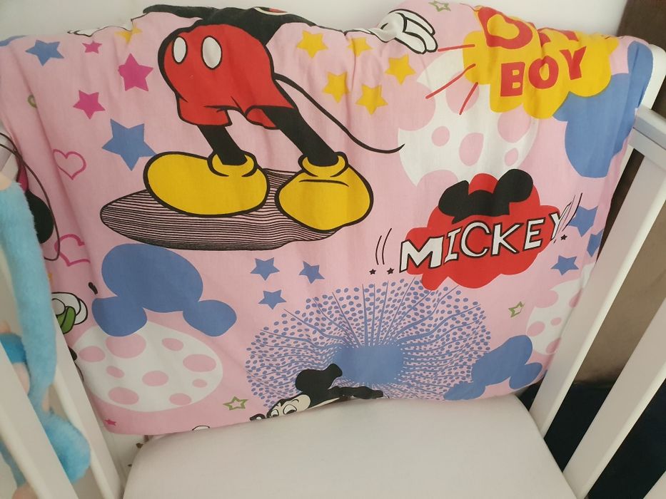 Aparatori patut minnie si Mickey