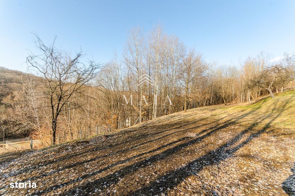 Teren 1550 mp, inconjurat de padure, Cisnadioara - Apfelhaus