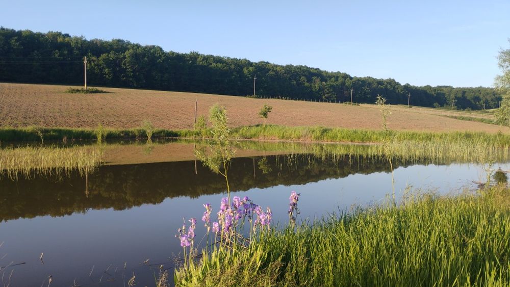 vand   microferma cu iaz si 7 hectare  teren arabil.