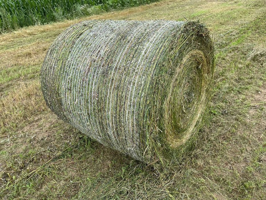 Baloți de calitate de fan si semifan lucerna ecologica / schimb vitei