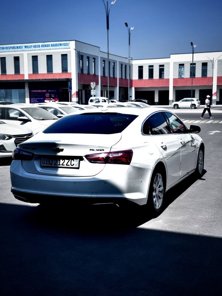 Malibu Premier Tozza