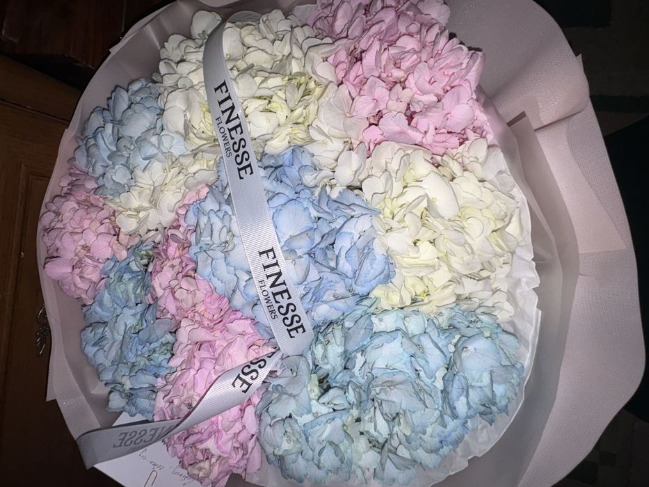 Гортензия цветы свежие