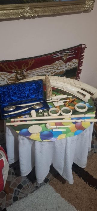 De vânzare coarne din fildeș puls alte accesorii