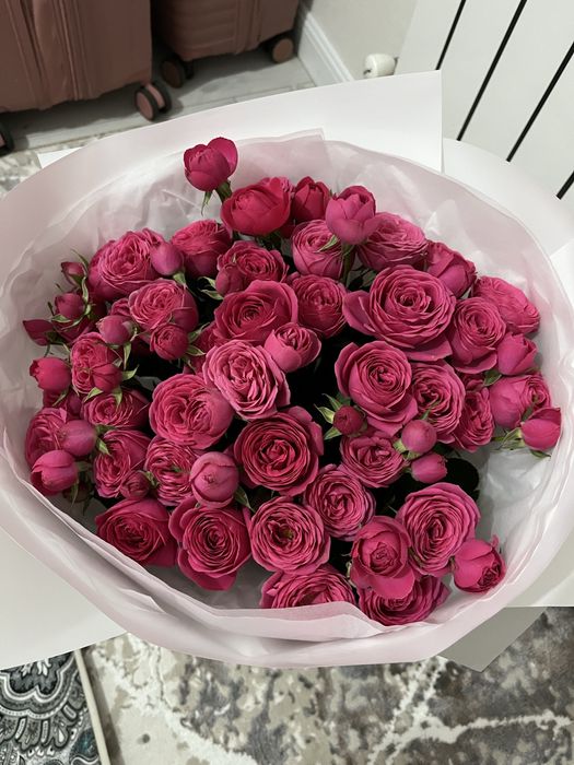 Пионы 51шт 10000