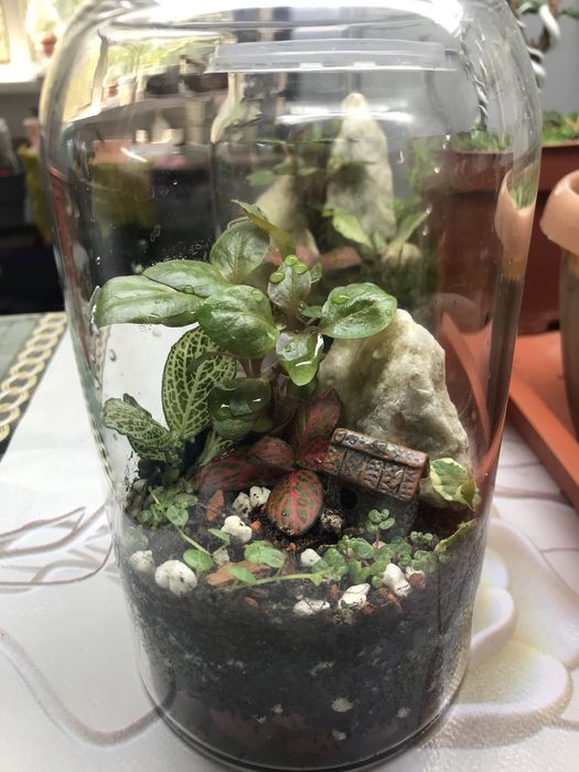 Продам флорик закрытый!