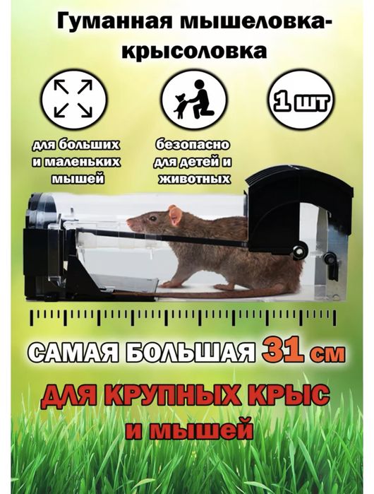 Мышеловка крысаловка гуманная