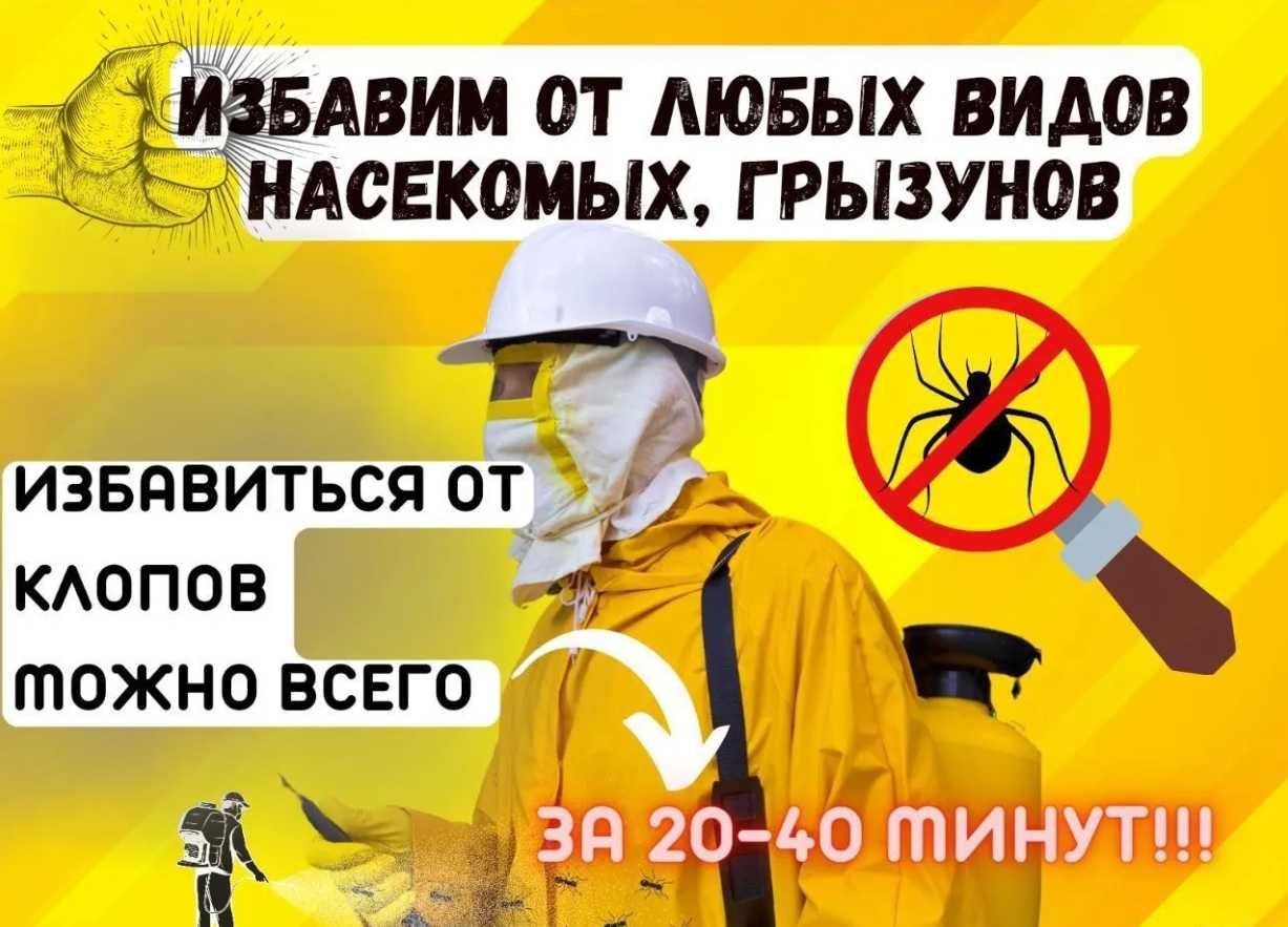 -40% gacha | 250 000 so'mdan Dezinfeksiya xizmati Дезинфекция Ташкент