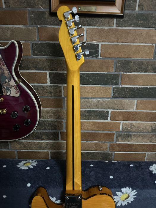 H.S. Anderson Mad Cat (telecaster)