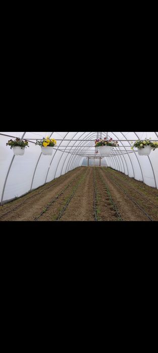 Solar 6 m din teava 42x2 - 17 arcade.