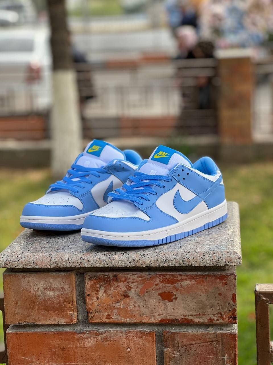 Nike SB Dunk low