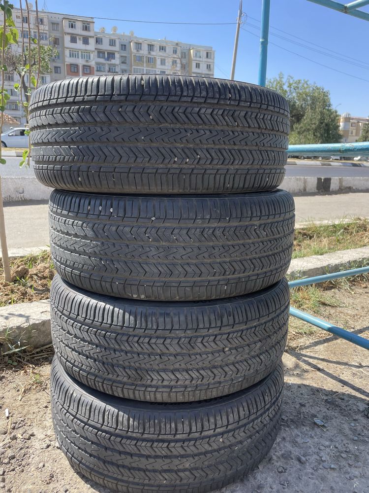 R17 diska baloni bilan