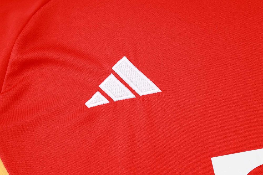 Compleu Adidas Bayern Munchen model rar de antrenament 24/25