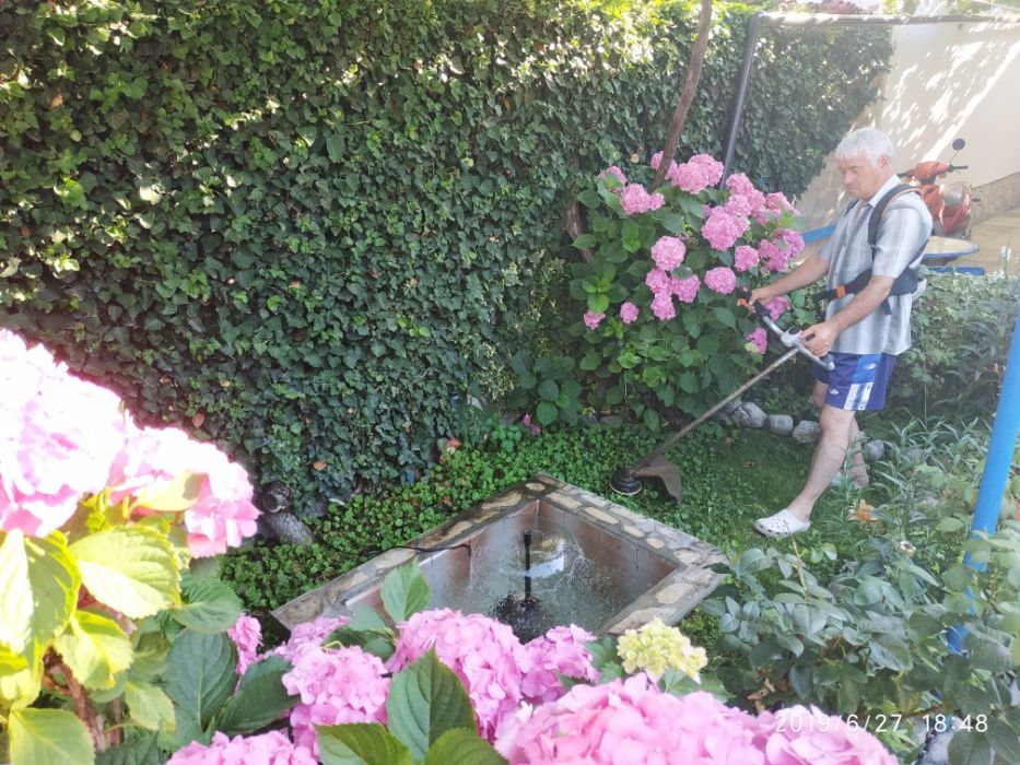 Почистване  и поддръжка на дворове!!!