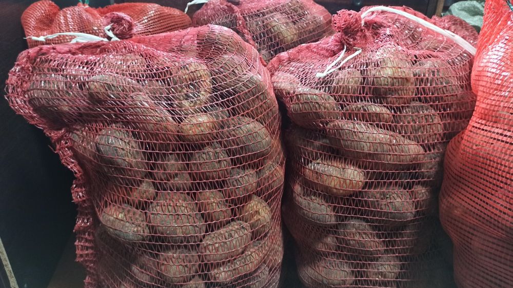 Картофель продам