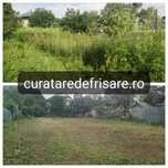 Curatare teren, vegetatie, ambrozie, toaletare, tocare crengi