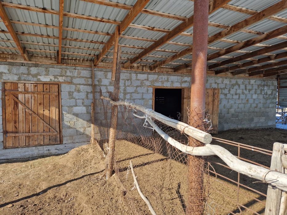 Продается фазенда