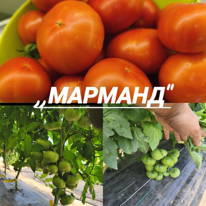 Стари сортове семена от ,,Вълшебната Градина"