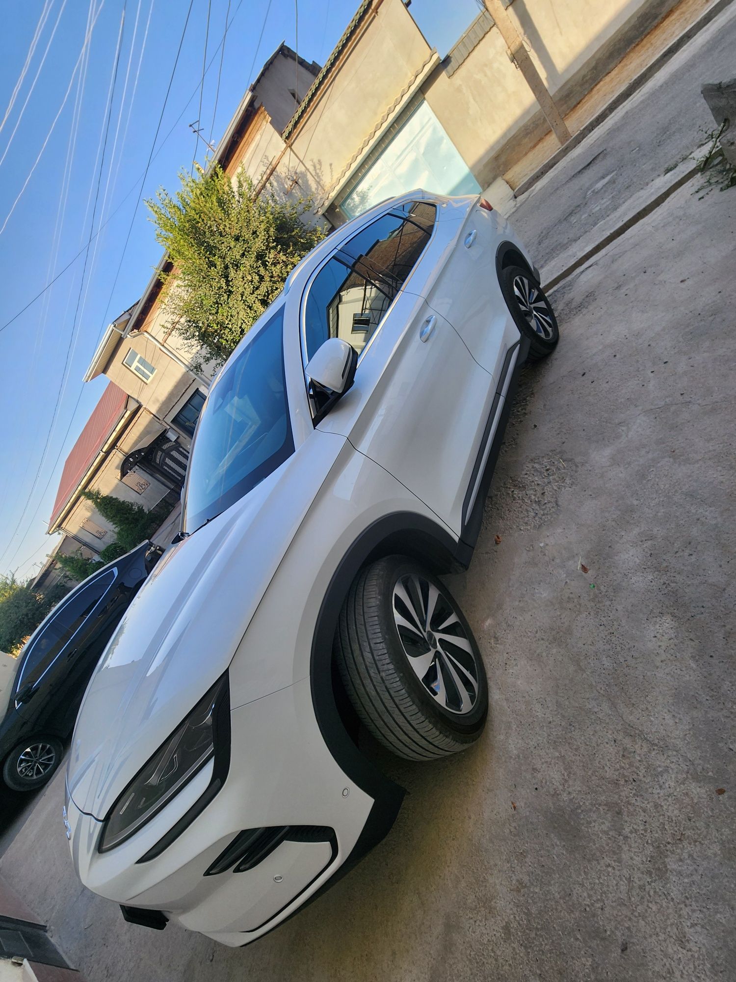 Byd champion sotiladi 605km