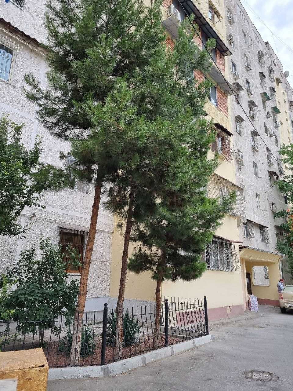 Sotiladi Квартира Центр Мирабад Госпиталка 3/8/9 85м2