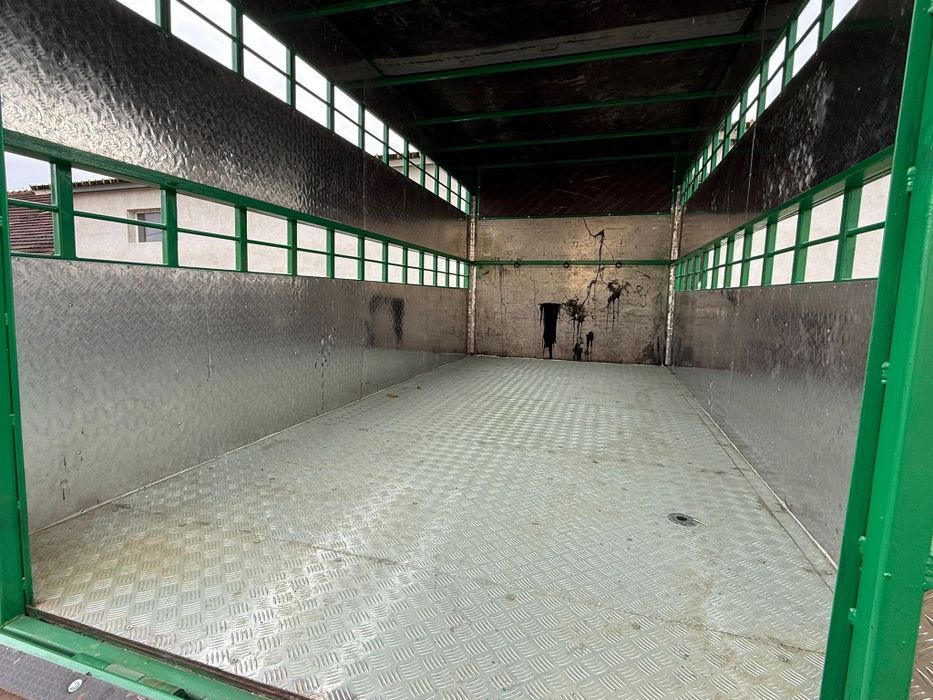 Iveco Daily Transport animale vii