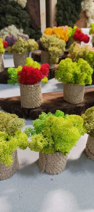 Скандинавски мъх,декорации