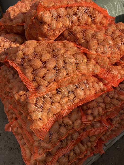 Cartofi consum recent ambalat