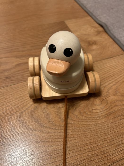 Rata/gasca little dutch