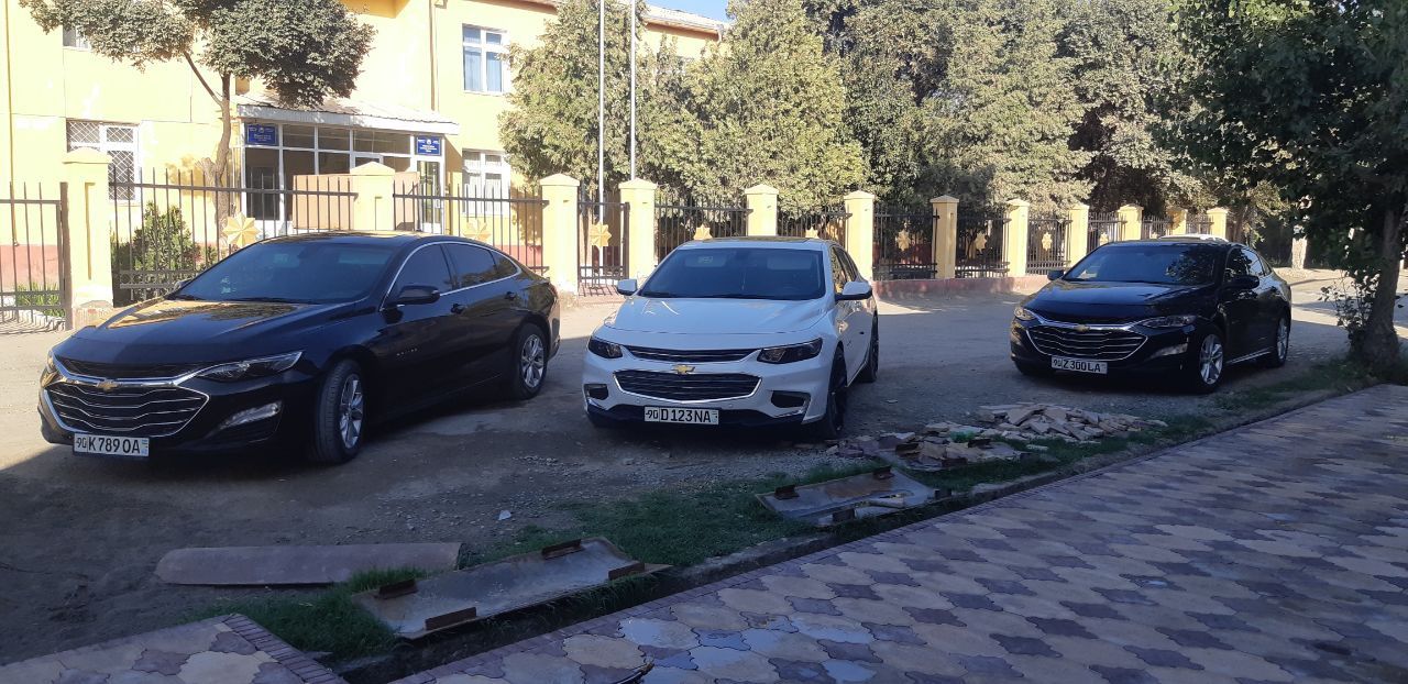 Arzon narxda Malibu  Kartej xizmati. Xorazm Toy va marosimlari uchun