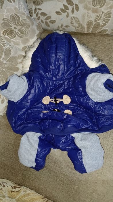 Новый комбинезон для собаки.