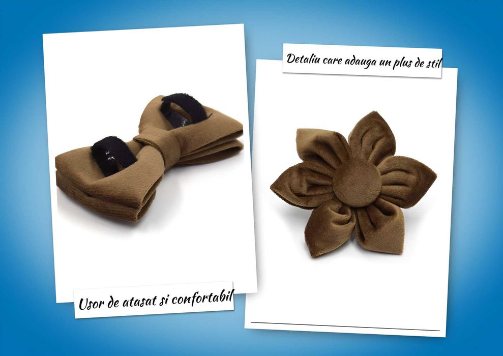 Set complet 6 piese , catifea premium, pentru caini