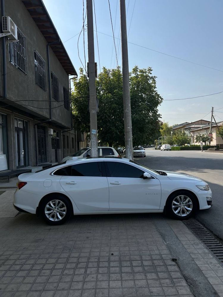 Malidu 2.4 premier