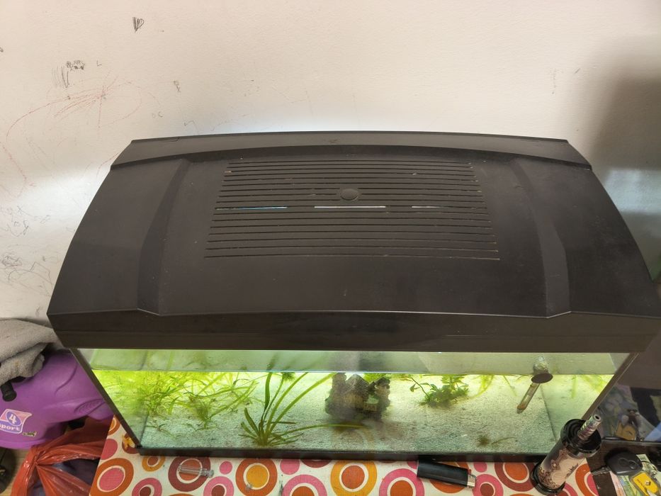 Vând acvariu 54L
