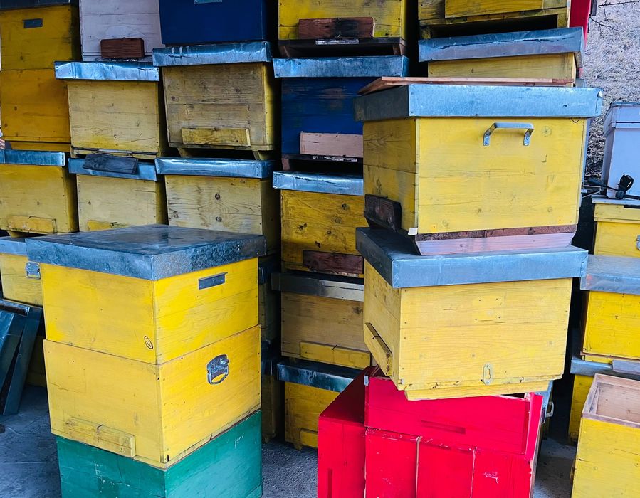 Stup dadant, 12 rame + magazie