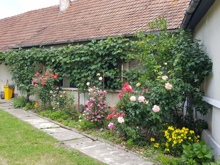 Vand casă zona centrala sat Berivoi !!!