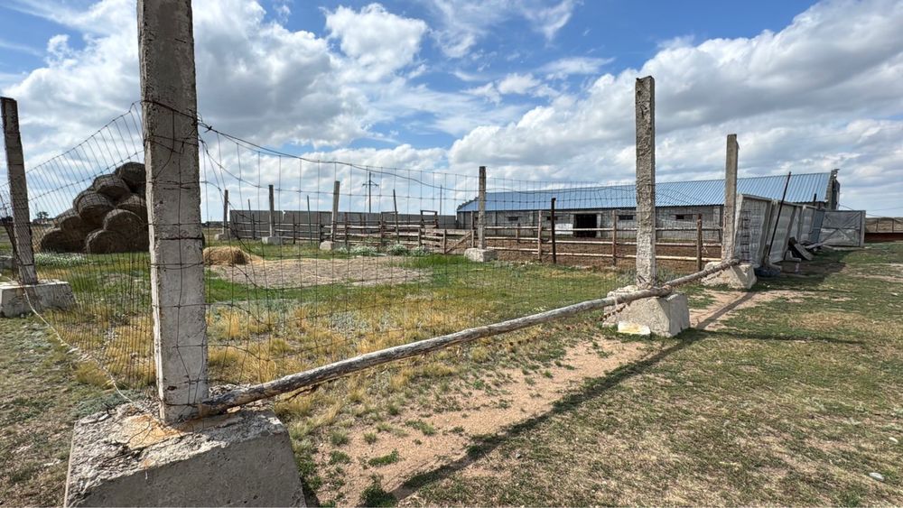 Животноводческий комплекс