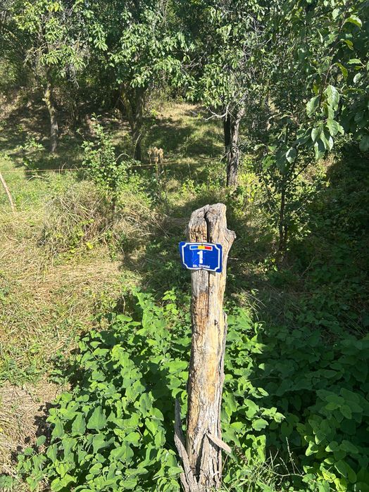 Teren de vanzare Poiana Cristei
