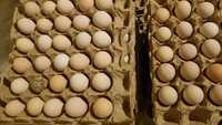 Яйца оптом Птицефабрика продает яйца