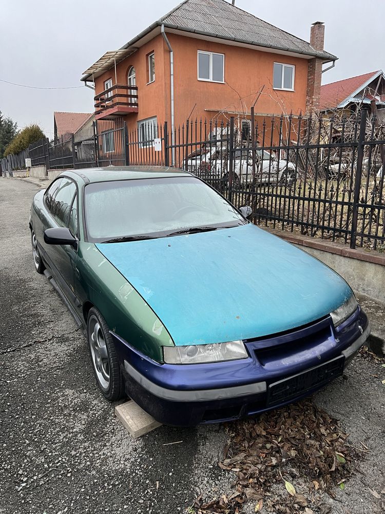 Opel calibra young edition