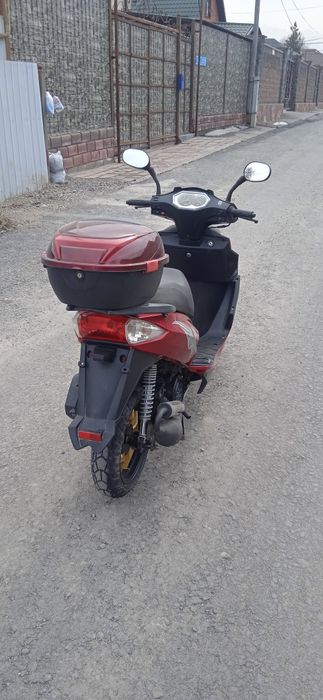 Продам мопед Рейсер