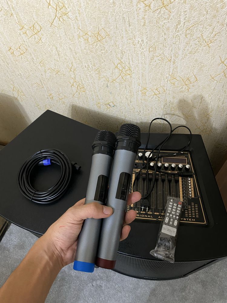 калонка HUITIAN Professional Audio System