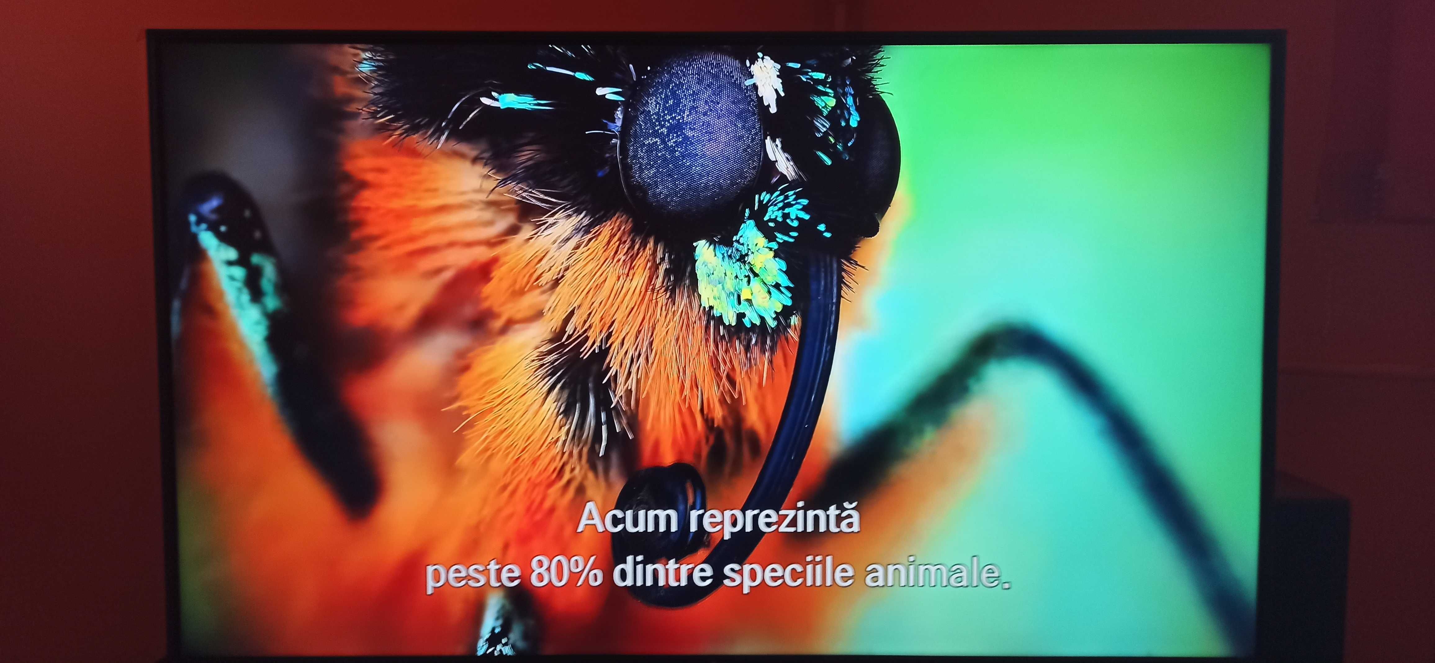 Documentare 4 K David Attenborough cu subtitrarea in limba romana