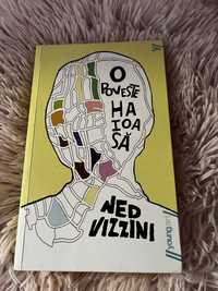 O poveste haioasă - Ned Vizzini